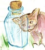 Kitty and Bottle